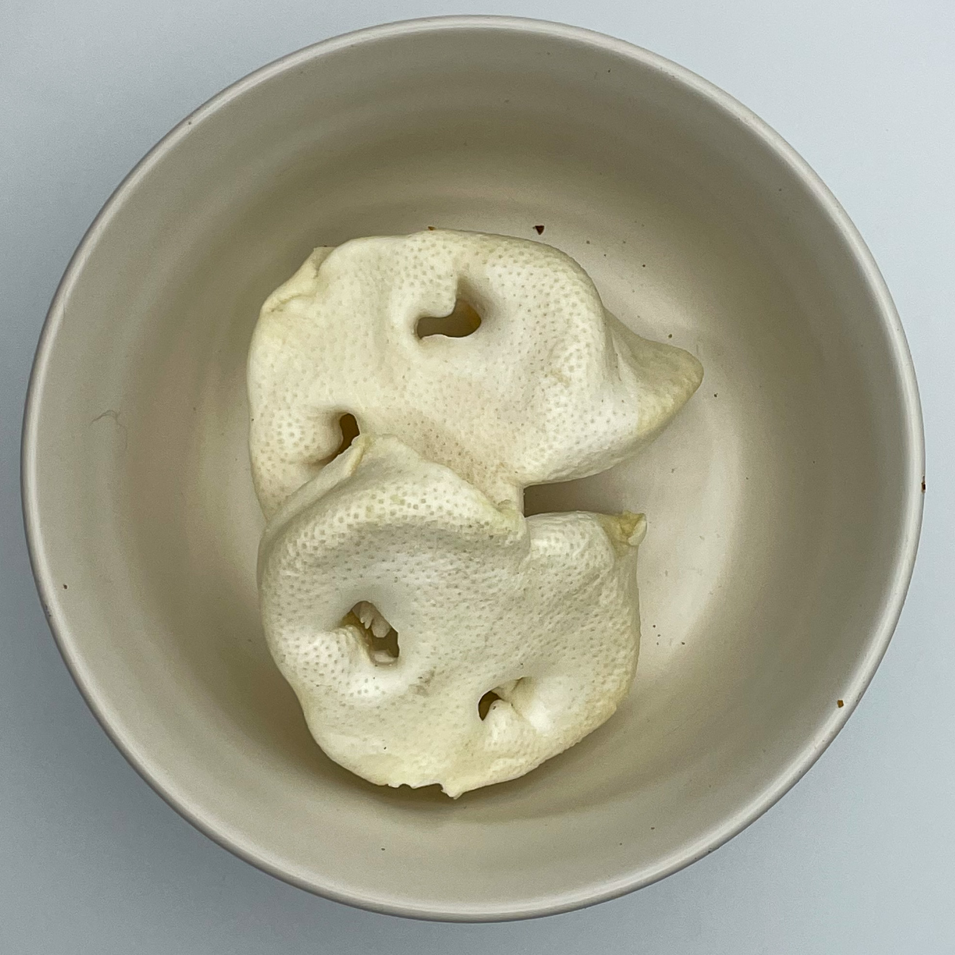 Schweinenasen Weiß